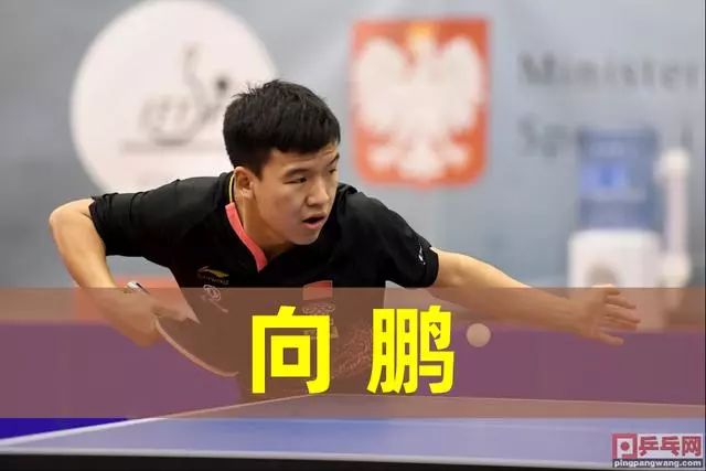 园内的体育 园内的体育